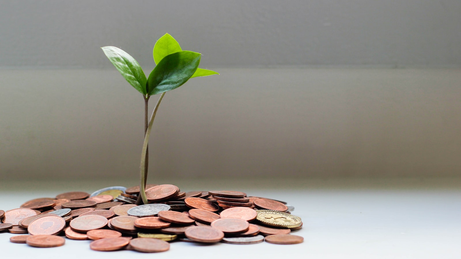 How Do I Collect a Deposit Before Starting Client Work?
